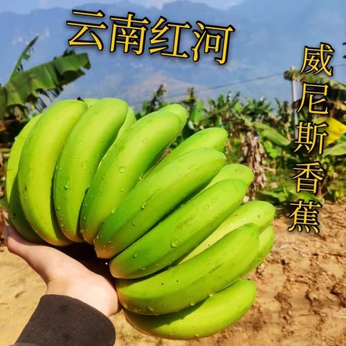 云南新鲜水果自然熟香蕉现摘