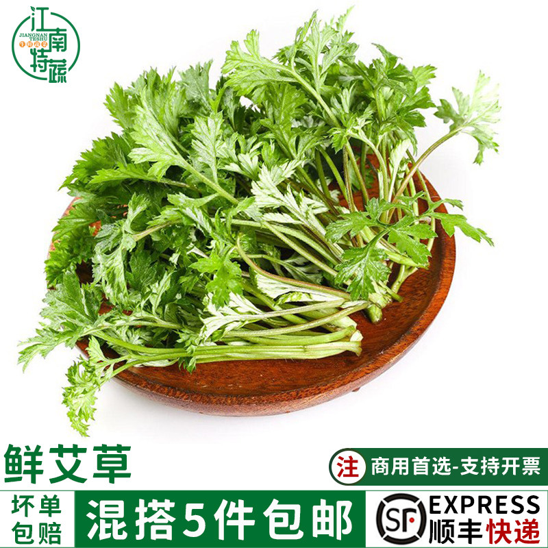 新鲜艾草叶500g可食用做青团糍粑粑清明果艾叶嫩艾蒿艾米果现摘