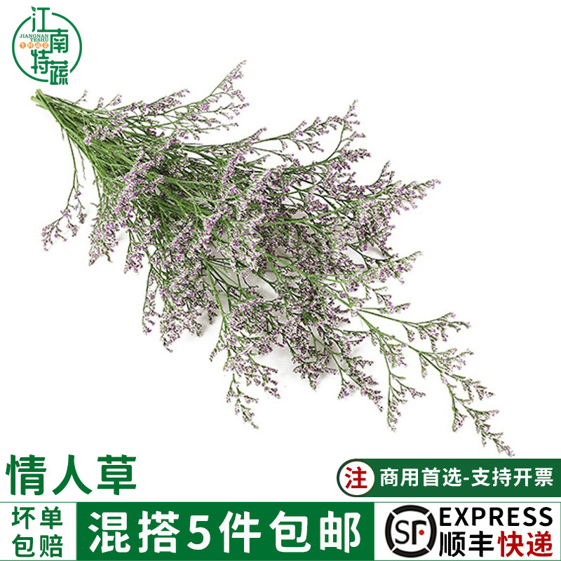情人草新鲜鲜花盘饰花盒装