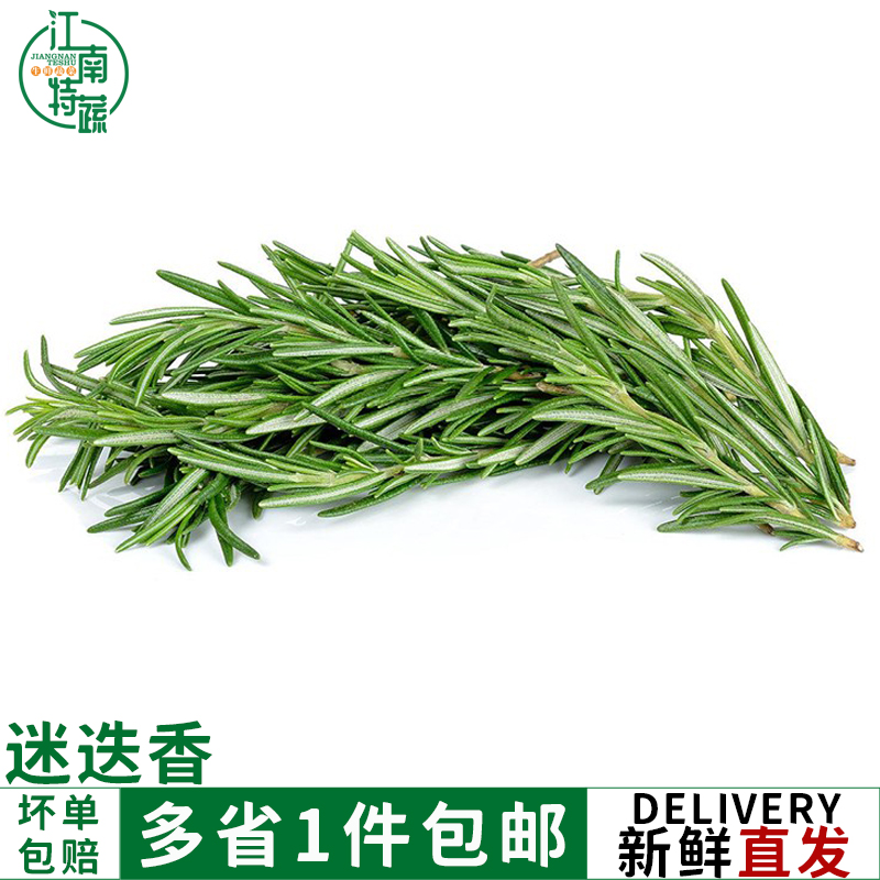 迷迭香新鲜食用玛丽西餐牛排烧烤