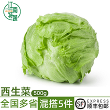 球生菜新鲜西生菜500g顺丰生菜包西餐沙拉轻食食材汉堡包蔬菜沙拉