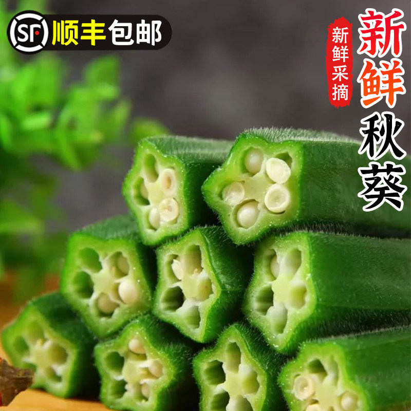 新鲜现摘鲜嫩秋葵新鲜蔬菜六角羊角豆洋辣椒凉拌食材农家包邮500g