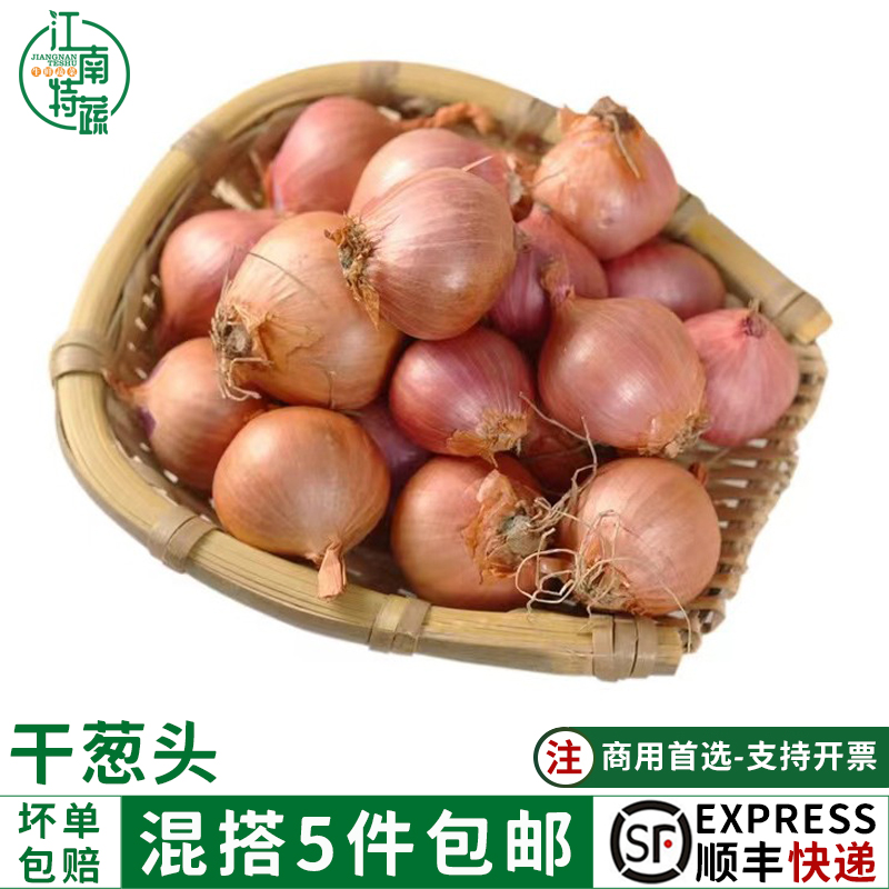 干葱头特香调味调料珠葱红