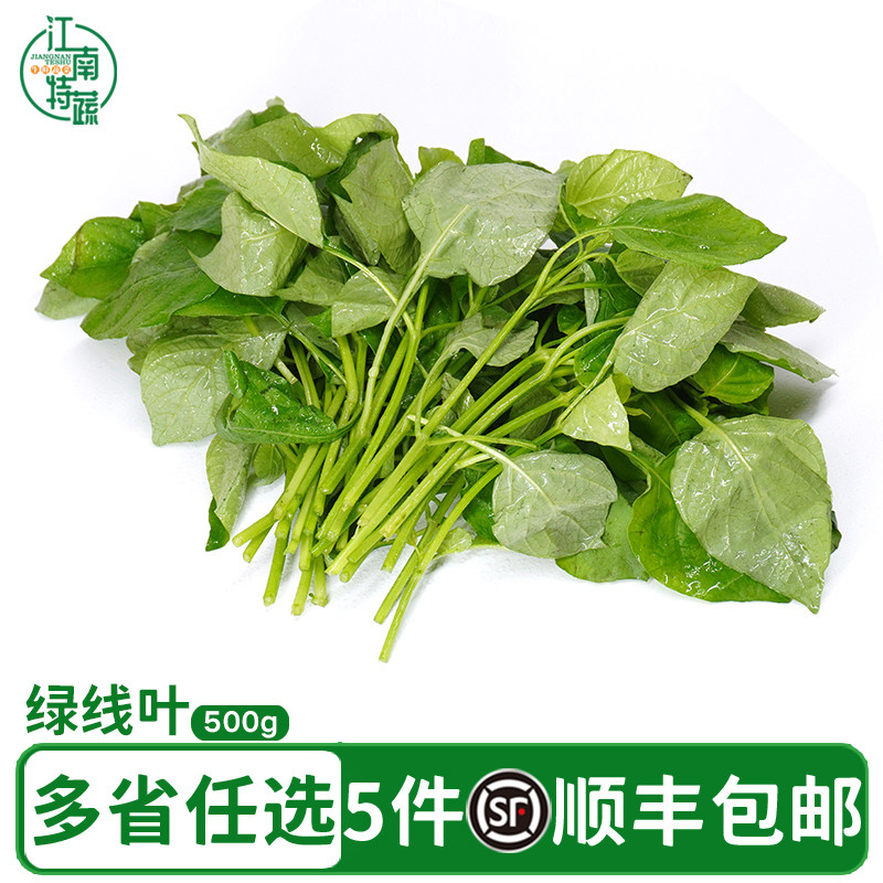 新鲜绿线叶血通菜蔬菜酒店特色野菜火锅打边炉蔬菜500g