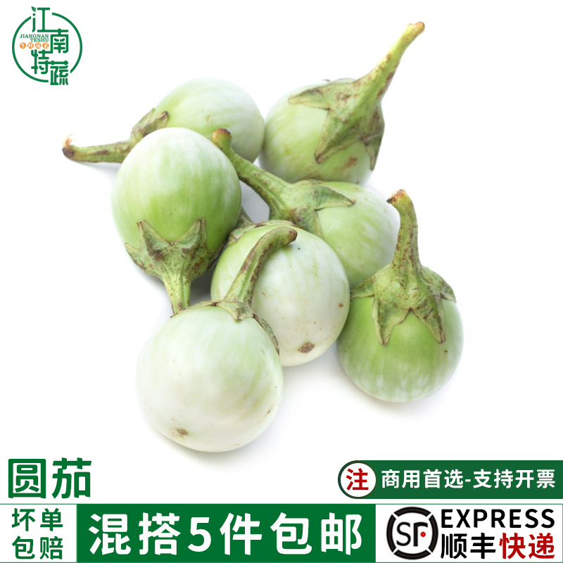 圆茄新鲜蔬菜500g大圆茄幼茄咖喱配料调味泰国东南亚食材绿圆茄子