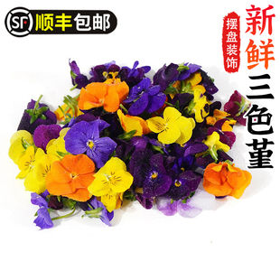 新鲜三色堇50朵鲜花三色花可食用西餐沙拉甜品烘焙蛋糕摆盘装饰