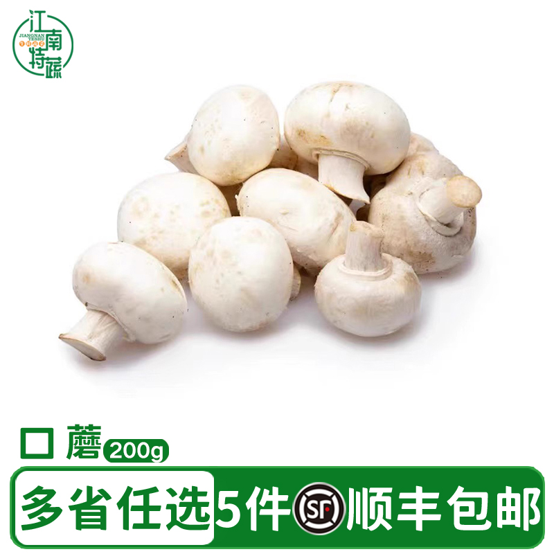 口蘑新鲜白蘑菇双孢菇煲汤