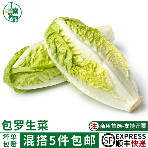 新鲜包罗生菜500g包心罗纹