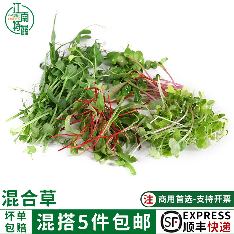 新鲜三色混合苗约20g/盒