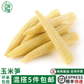 新鲜玉米笋450g玉米芯玉米仔迷你甜小玉芯笋蔬菜番麦水果蔬菜