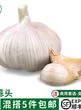 新鲜大蒜头500g紫皮大蒜干蒜调料调味食材农家蒜新鲜蔬菜顺丰
