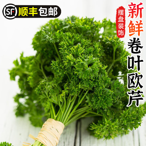 新鲜番西法国香芹摆盘装饰点缀