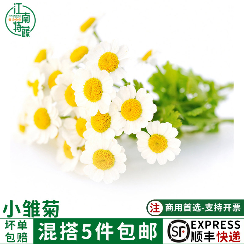 鲜洋甘菊鲜花插花西餐摆盘蛋糕装饰小雏菊50朵迷你菊花翠菊花10g