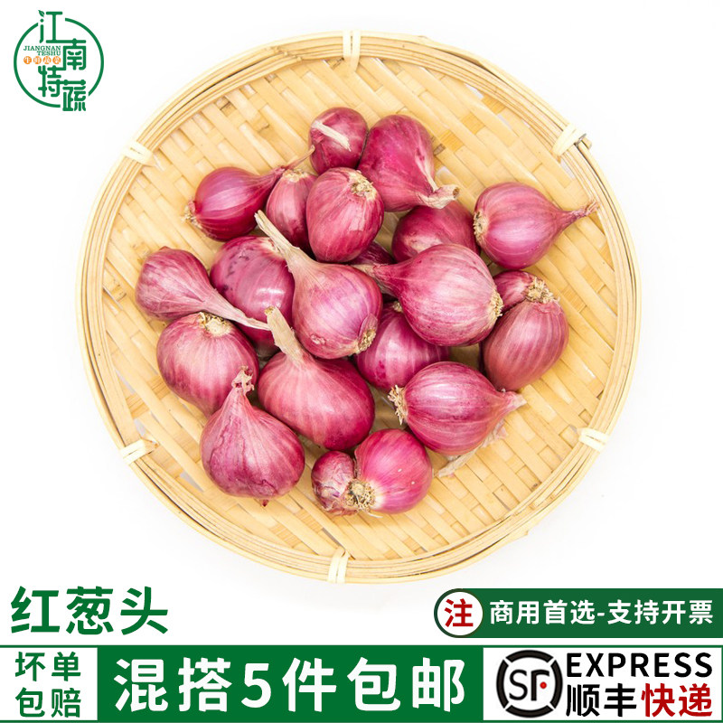 干葱头特香调味调料珠葱红