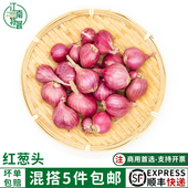 干葱头特香调味调料珠葱红葱头小毛葱头迷你干葱头熬葱油香料酱料