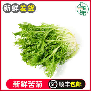 苦苣狗牙菜西餐健身轻食苦细叶生菜 苦菊生菜新鲜蔬菜沙拉食材 包邮