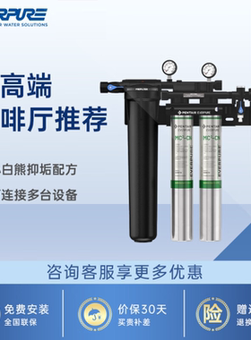 爱惠浦商用大流量双联净水机