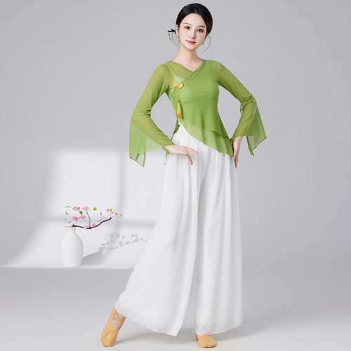 兰末祺古典舞身韵飘逸艺考纱衣女