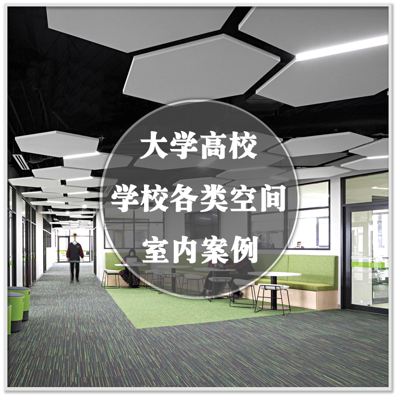 DA-133大学高校各类学校空间室内实景案例图装修装潢设计素材资料