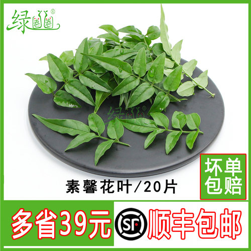 新鲜素馨花叶摆盘装饰点缀花草