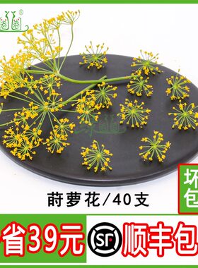 新鲜莳萝花微型花装饰盘饰花