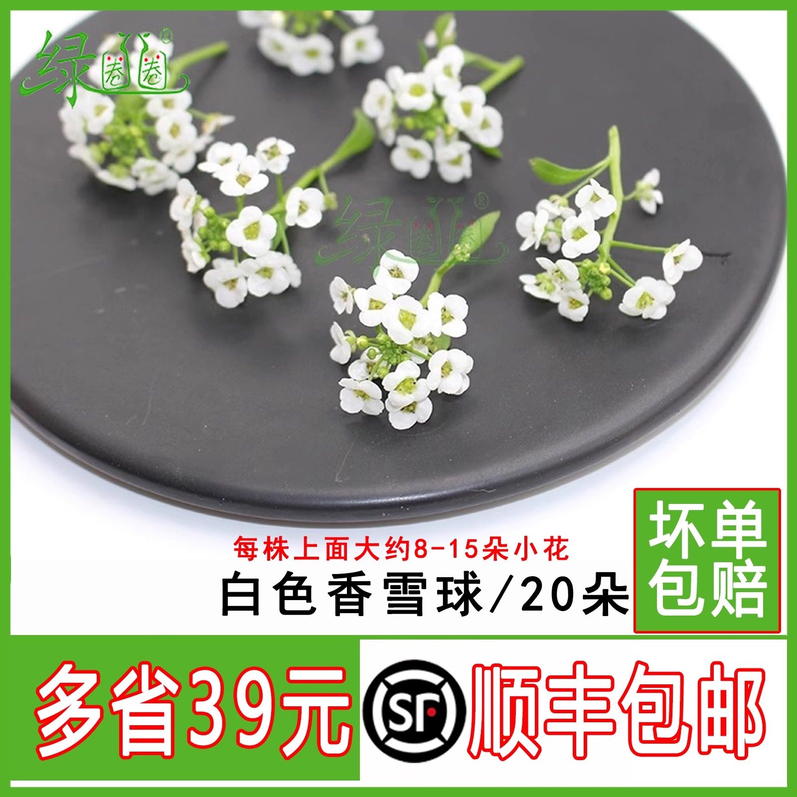 新鲜白色香雪球 微型小白花  酒店西餐摆盘装饰 冷艺日料装饰点缀,水产肉类/新鲜蔬果/熟食,其它,淘宝优惠券,粉丝福利购,淘宝优惠卷