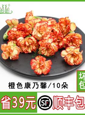 新鲜 橙色康乃馨花朵 鲜花多色康乃馨 酒店西餐摆盘蛋糕装饰