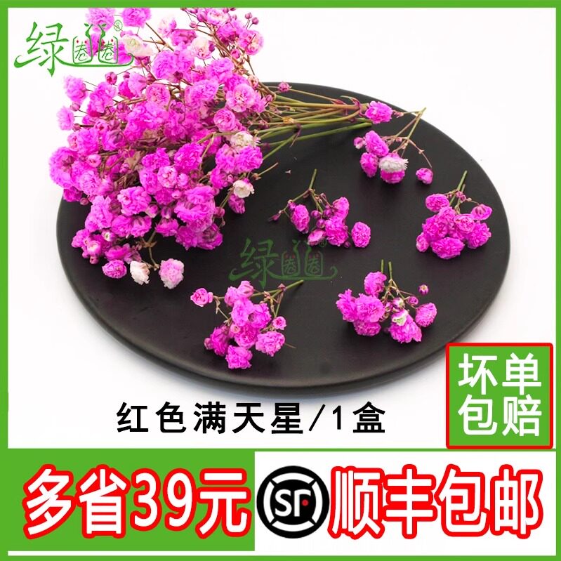 新鲜满天星鲜花装饰一盒图片