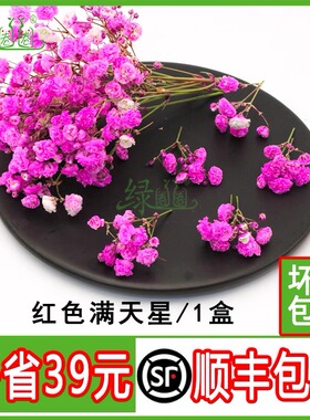 新鲜满天星鲜花 红色满天星 日料西餐酒店摆盘装饰一盒