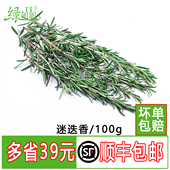 料理调味料 西餐香料 新鲜牛排香草 迷迭香