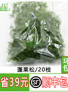 松针绿松针酒店西餐冷菜摆盘