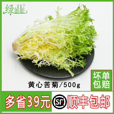 新鲜黄心苦菊500g蔬菜沙拉