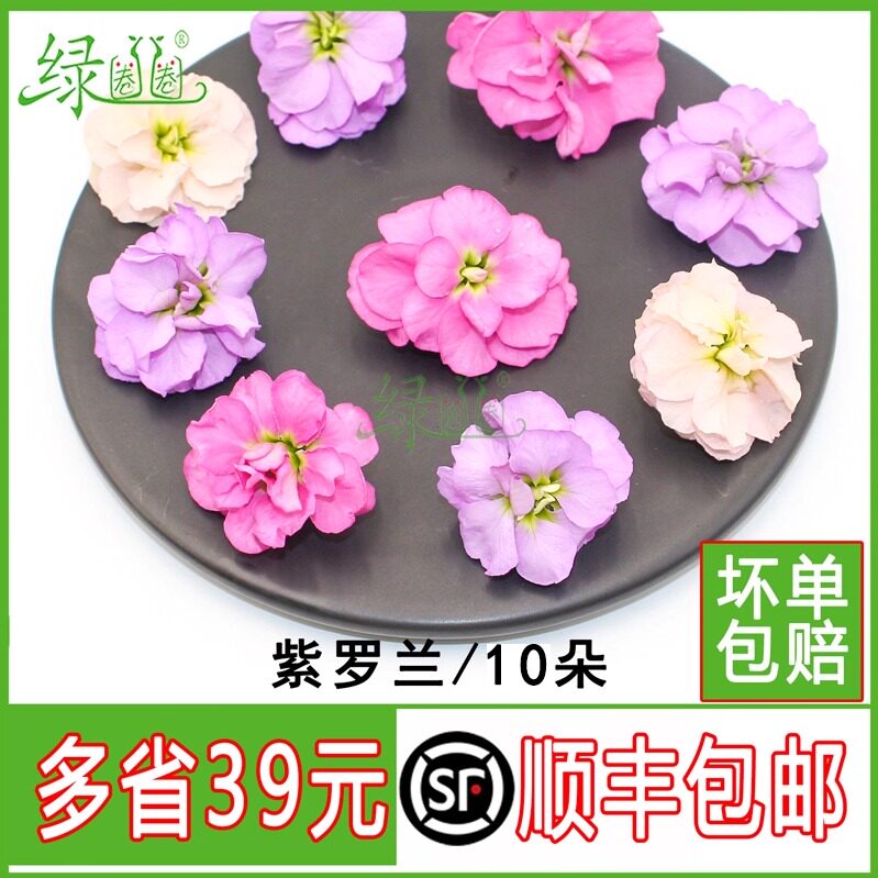 紫罗兰花装饰餐饮摆盘新鲜图片