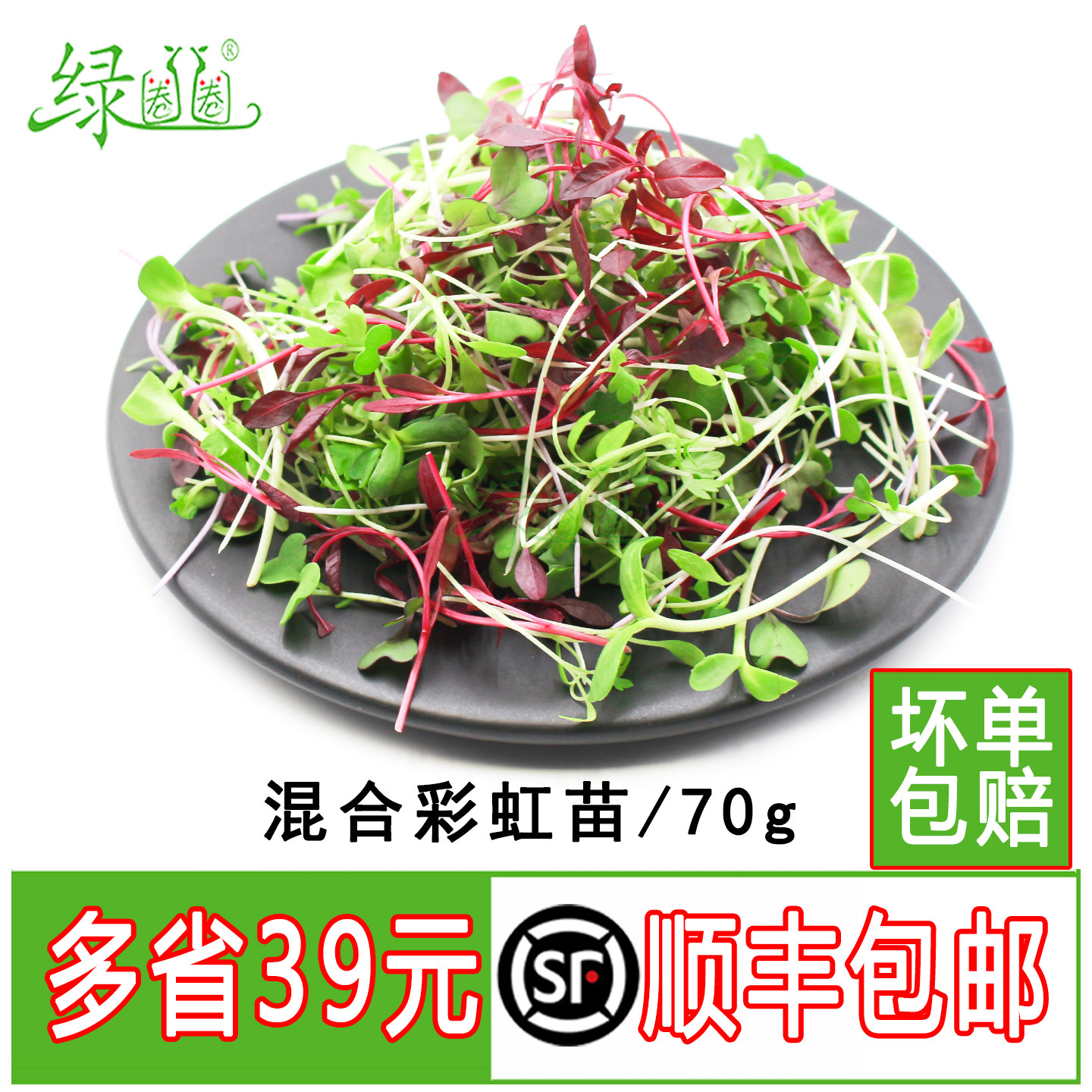 新鲜混合芽苗火红苗绿色芽苗菜冷菜点缀酒店西餐摆盘装饰花草嫩芽