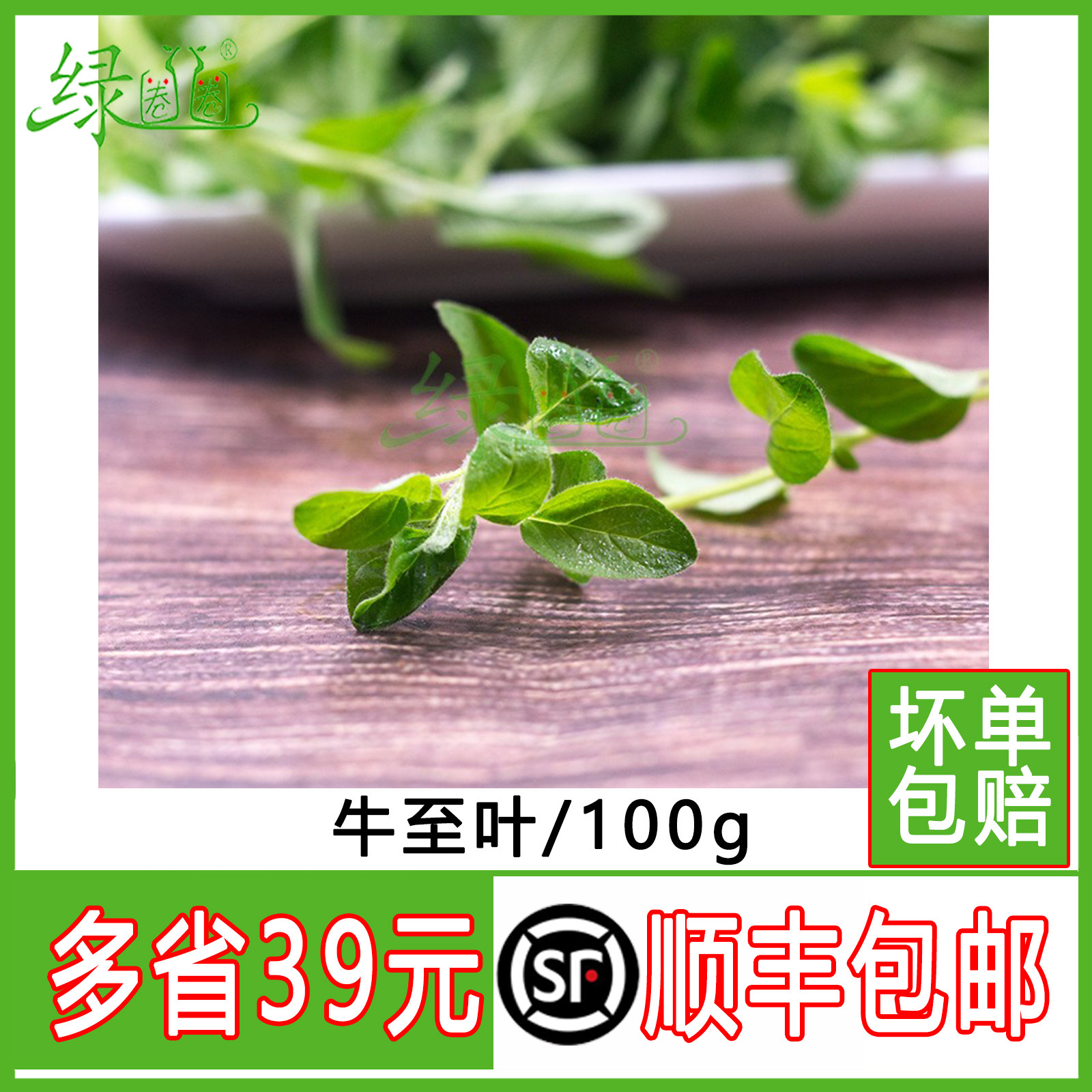 牛至叶新鲜 食用香料 阿里根奴 西餐披萨草甘牛至100g