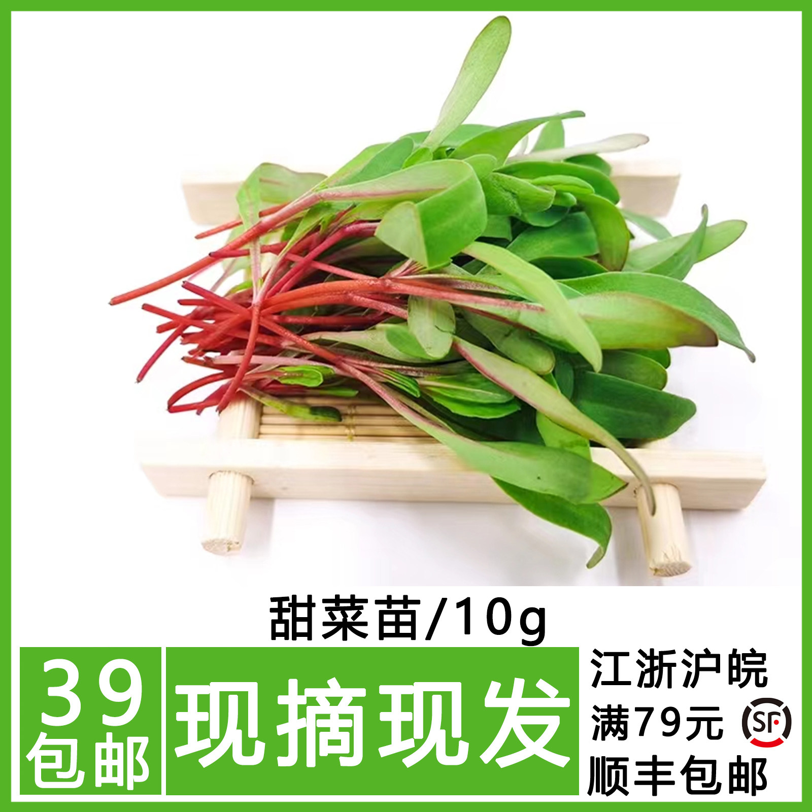 新鲜甜菜苗 可食用西餐摆盘装饰 牛皮菜 芽苗菜 红甜菜苗