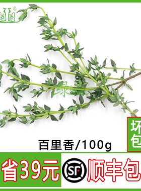 百里香煎牛排香料新鲜香料