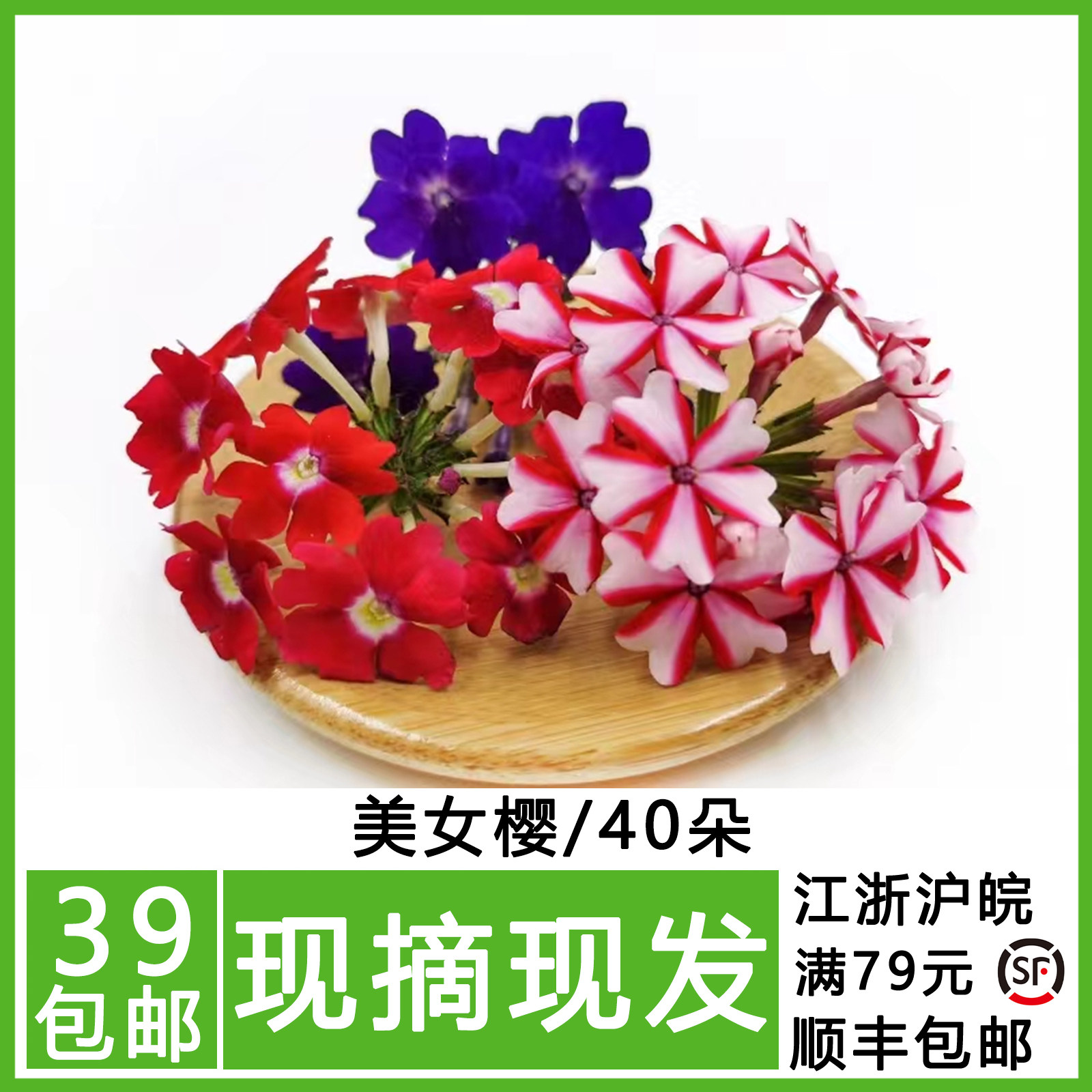 新鲜 美女樱 鲜花 日料西餐酒店西餐摆盘冷艺装饰点缀花草