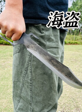 龙泉刀剑一体锰钢唐横刀户外防身冷兵器荒野求生携带短刀具未开刃