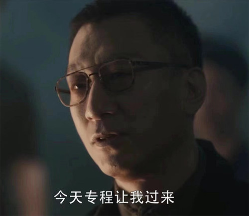 大脸孙红雷同款超轻复古眼镜框