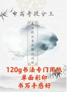 综合卷面提分 中高考书写分提高专项强化训练条格作文格
