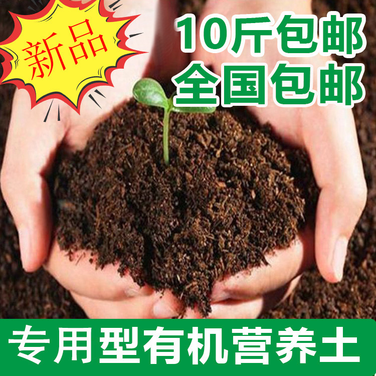 有机家用种菜盆栽多肉花土营养土