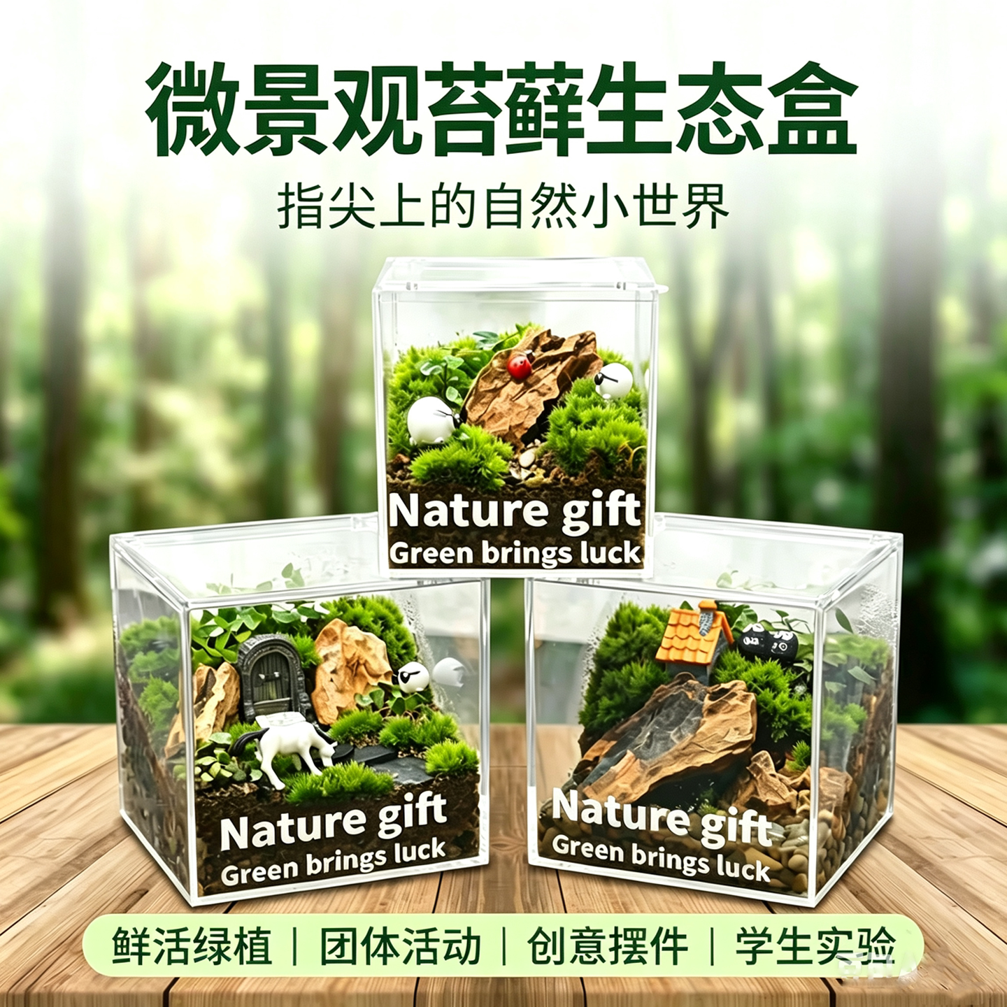 微景观苔藓生态盒绿植造景学生实验手工活动材料包养螃蟹缸