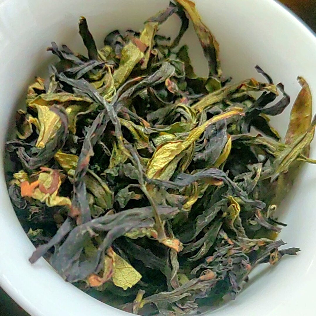 高山茶潮汕大坪土山茶浓香型福建诏安八仙茶惠来乌龙茶叶清香500g