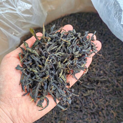 高山茶大坪土山茶惠来高山茶潮汕功夫茶散装1斤浓香型高美土山茶