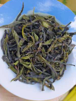 八仙黄旦茶惠来土山茶潮汕茶叶八仙茶大坪土山茶1斤富硒八仙黄旦