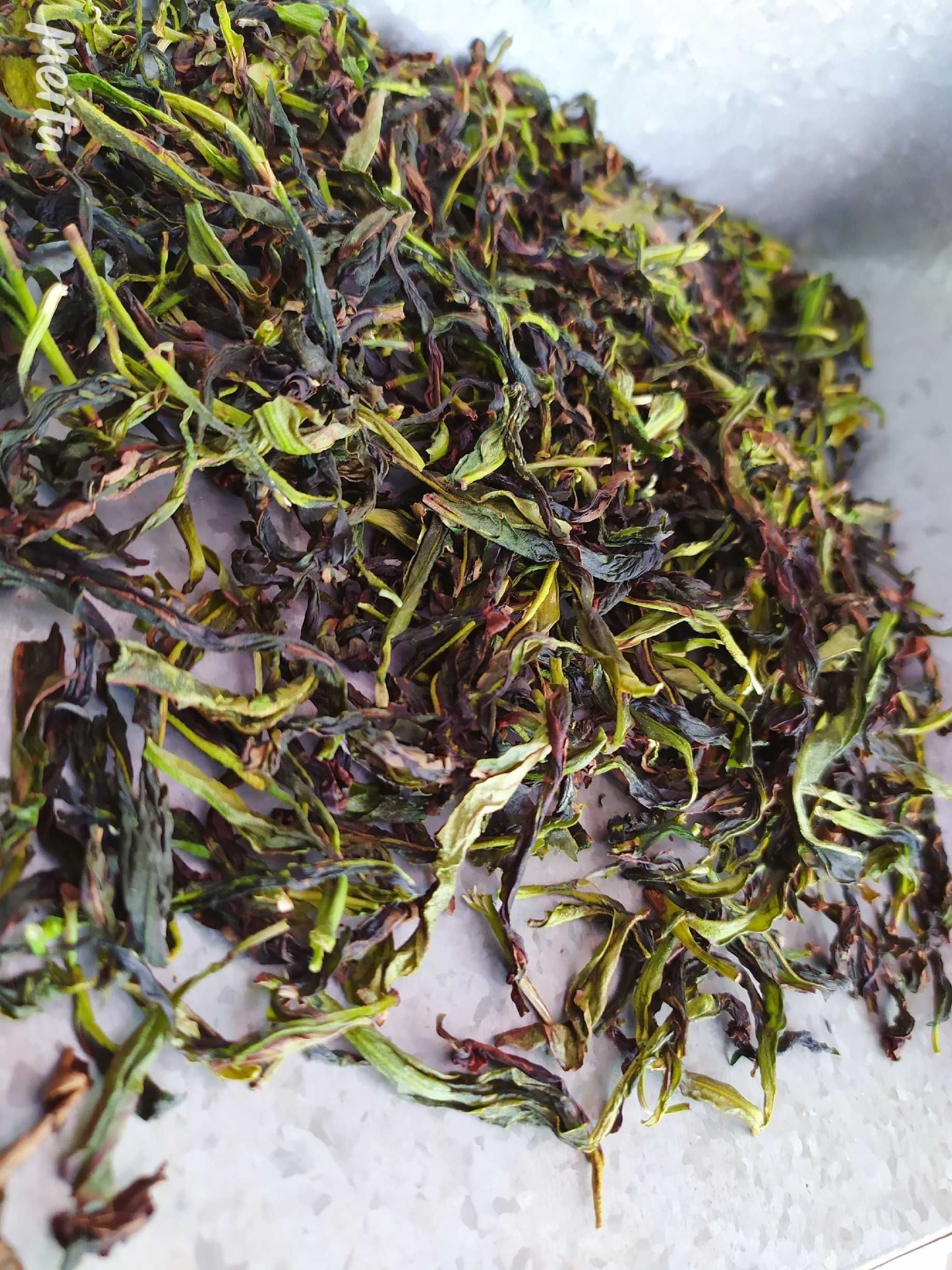 鸭屎香生茶凤凰鸭屎香绿单枞茶潮州单丛茶高山单枞茶清香1斤茶叶