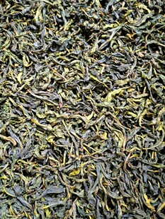 高山八仙茶大坪茶八仙土山茶潮汕八仙茶叶土山茶惠来土山茶1斤1袋