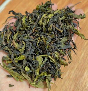 新茶雪片八仙茶潮汕土山茶惠来高山八仙茶惠来土山茶1斤高山茶叶