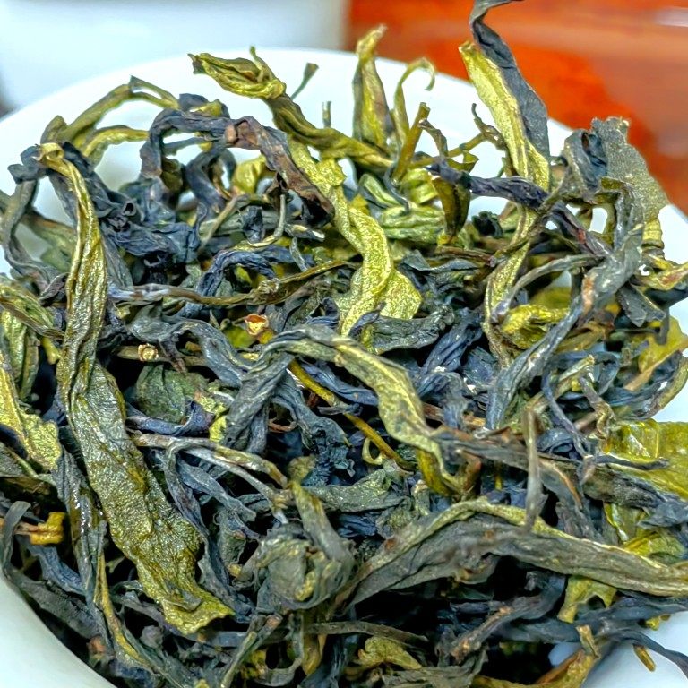 高山茶潮汕惠来土山茶诏安八仙茶惠来八仙潮汕土山茶高山乌龙茶叶